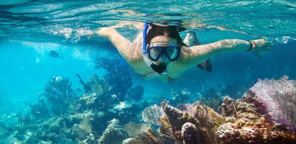 Do I need to bring my own snorkeling gear to Watamu