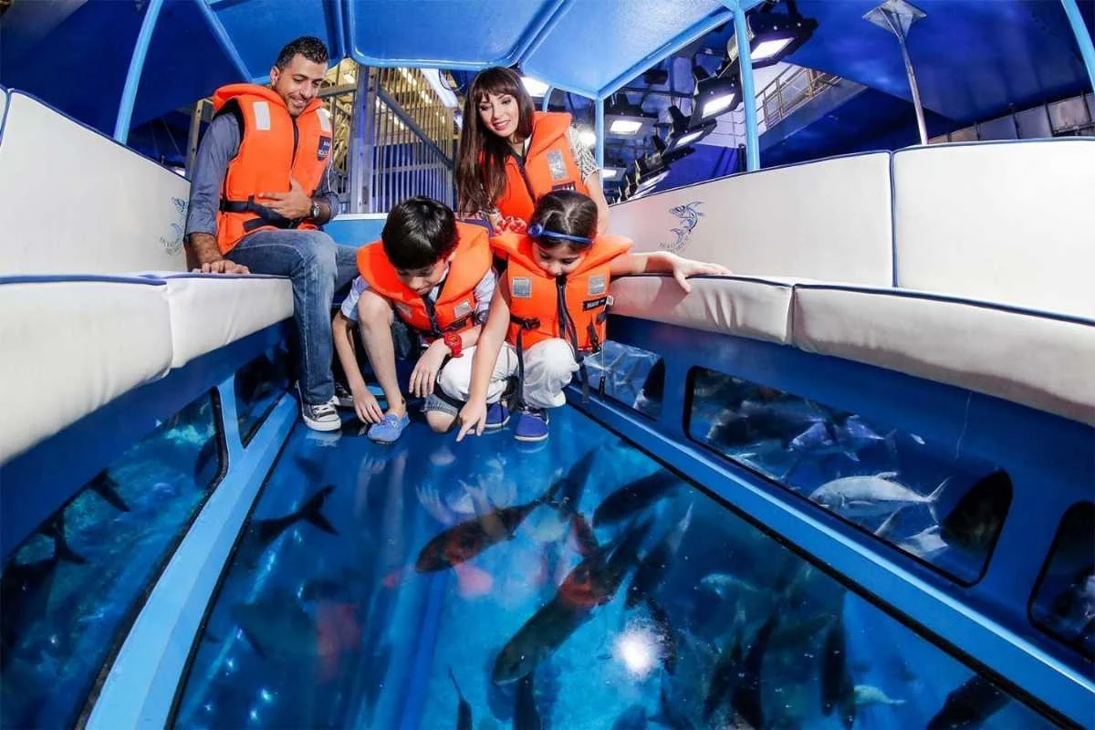 Children, the glass and a dive kit