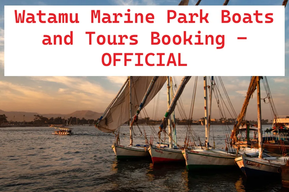 How to Avoid Boat Booking Scams on Watamu Beach